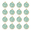 Golden Plated Alloy Enamel Charms ENAM-S118-05C-2