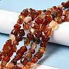 Natural Agate Beads Strands G-F745-10-2