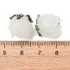 Handmade Lampwork Beads LAMP-F041-02F-4