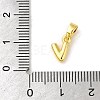 Rack Plating Brass Charms KK-C053-04G-V-3