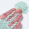 12/0 Glass Seed Beads SEED-S060-A-973-4
