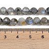 Natural Labradorite Beads Strands G-G281-B03-6mm-5