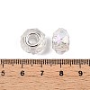 Transparent Glass European Beads GPDL-N004-D14mm-A01-3