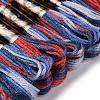 10 Skeins 6-Ply Polyester Embroidery Floss OCOR-K006-A13-2