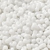 Baking Paint Glass Seed Beads SEED-K009-01A-25-3