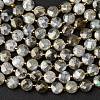 Natural Labradorite Beads Strands G-K389-B66-01-2