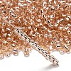 TOHO 6/0 Round Beads SEED-TR06-0031-2
