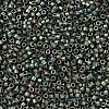 MIYUKI Delica Beads SEED-X0054-DB0324-3