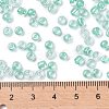 6/0 Glass Seed Beads X-SEED-A015-4mm-2219-4