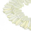 Electroplate Glass Beads Strands EGLA-C005-01A-FR02-3