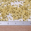 MIYUKI Delica Beads SEED-J020-DB0042-4