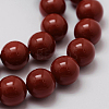 Shell Pearl Beads Strands BSHE-L026-01-10mm-3