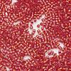 TOHO Japanese Seed Beads SEED-K007-1.5mm-25-2