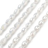 Electroplate Glass Beads Strands EGLA-A037-J6x8mm-B01-1