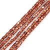 Natural Freshwater Shell Dyed Beads Strands X-SHEL-M018-14-02-1