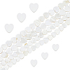 2 Strands 2 Styles Natural Freshwater Shell Beads Strands SHEL-FH0001-26-1