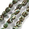 Dyed Natural Trochus Shell Beads Strands BSHE-Z006-02D-1