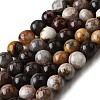 Natural Mexico Crazy Agate Beads Strands G-L615-A01-03-8