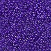 MIYUKI Round Rocailles Beads X-SEED-G007-RR0176-3