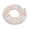 Natural Cultured Freshwater Pearl Beads Strands PEAR-N012-03B-2