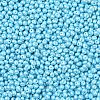 6/0 Glass Seed Beads X1-SEED-L011-08A-13-3