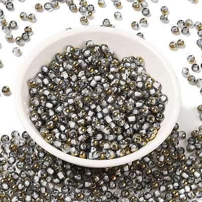 Glass Seed Beads X1-SEED-H002-B-D218-1