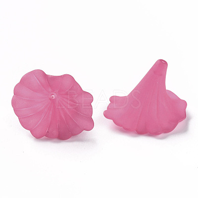 Transparent Acrylic Beads X-BSF796-C16-1
