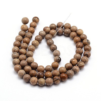 Natural Picture Jasper Round Bead Strands G-J303-08-4mm-1