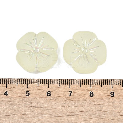Frosted Transparent Acrylic Beads OACR-P029-19B-03-1
