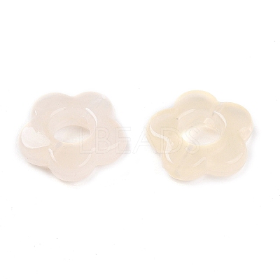 Gradient Color Transparent Acrylic Beads OACR-N137-49P-1
