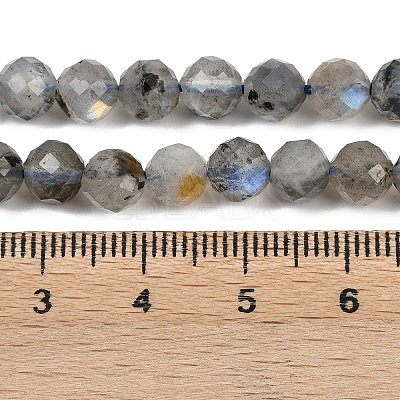 Natural Labradorite Beads Strands G-G281-B03-6mm-1