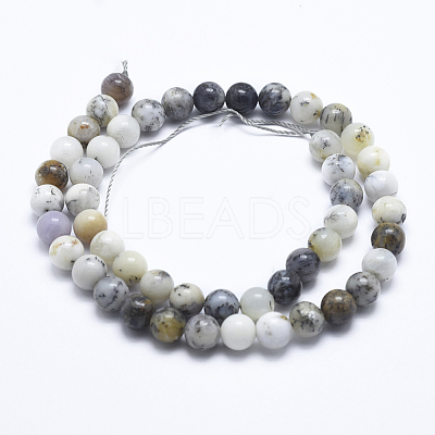 Natural White African Opal Beads Strands G-E472-02-8mm-1