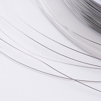 Steel Wire TWIR-E001-0.2mm-1