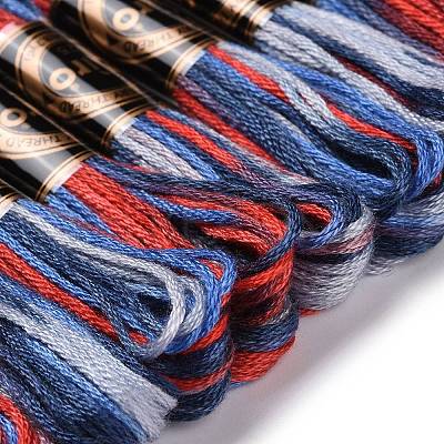 10 Skeins 6-Ply Polyester Embroidery Floss OCOR-K006-A13-1