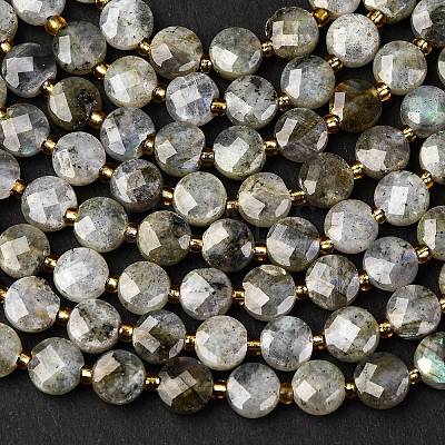 Natural Labradorite Beads Strands G-K389-B66-01-1