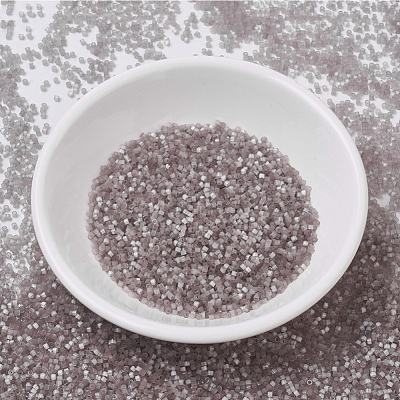 MIYUKI Delica Beads X-SEED-J020-DB0827-1