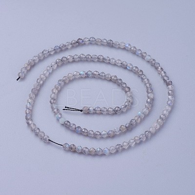 Natural Labradorite Beads Strands X-G-F619-15-3mm-1