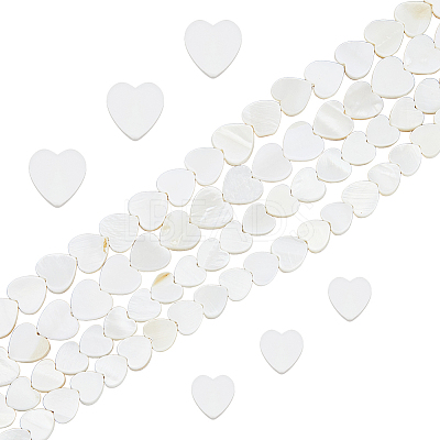 2 Strands 2 Styles Natural Freshwater Shell Beads Strands SHEL-FH0001-26-1
