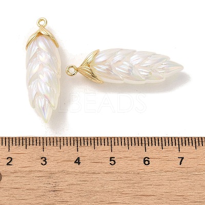 Rainbow Iridescent Plating Resin Pendants RESI-C047-03B-G-1