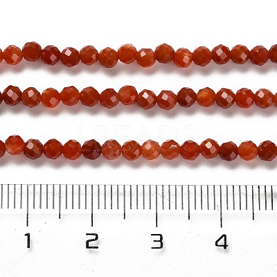 Natural South Red Agate Beads Strands G-Z074-A02-01A-1