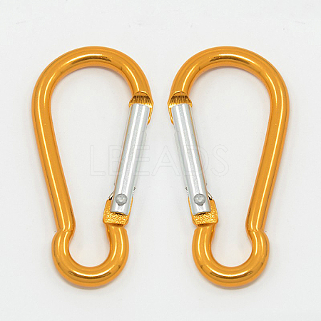 Aluminum Carabiners LS-EA026-09-1
