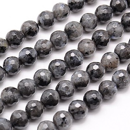 Natural Larvikite Beads Strands G-G736-01-10mm-1