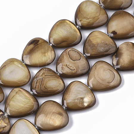 Freshwater Shell Beads Strands SHEL-T014-003-1