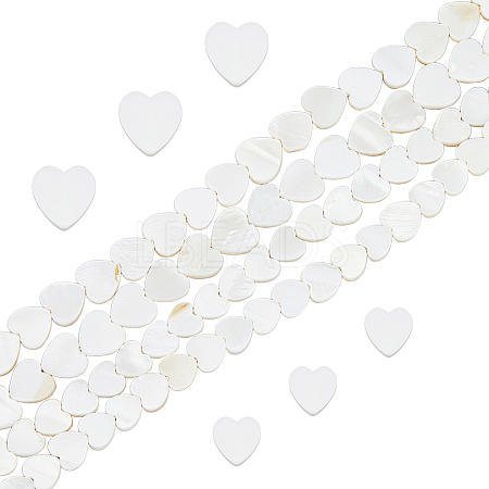 2 Strands 2 Styles Natural Freshwater Shell Beads Strands SHEL-FH0001-26-1