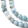 Natural Larimar Beads Strands G-F785-B01-01-4