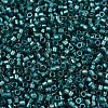 MIYUKI Delica Beads SEED-JP0008-DB1769-3