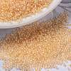 MIYUKI Round Rocailles Beads SEED-JP0010-RR0282-1