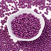 Baking Paint Glass Seed Beads X-SEED-S003-K31-1