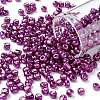 6/0 Glass Seed Beads SEED-A017-4mm-1121-1