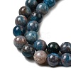 Natural Apatite Beads Strands G-D340-A02-8mm-4